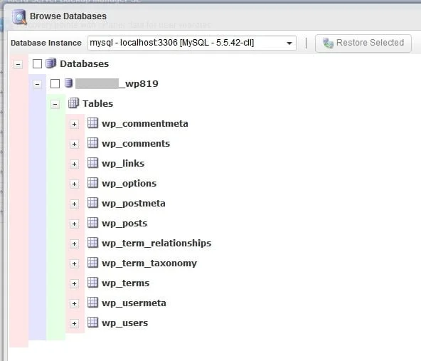 r1soft database restore selection