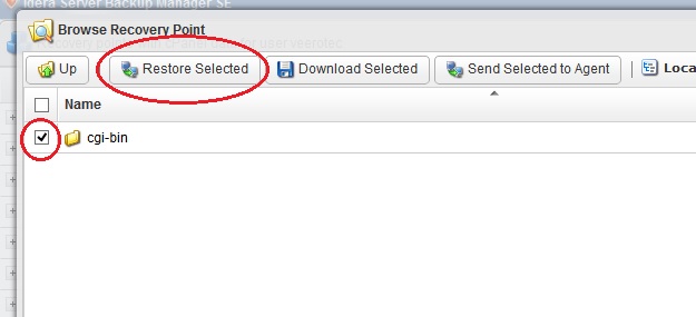 r1soft-restore-selected