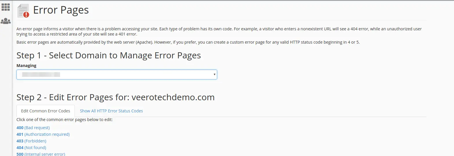 How to Create Custom Error Pages in cPanel 