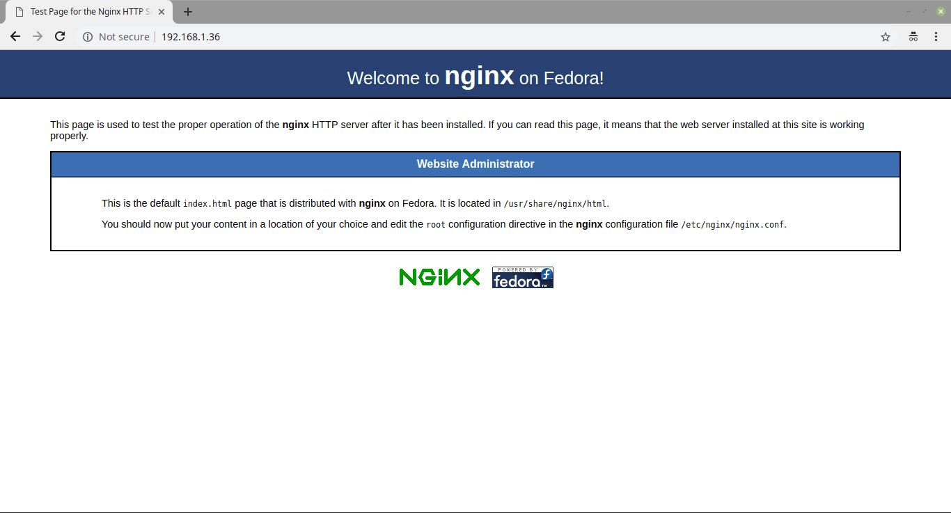 Nginx default page