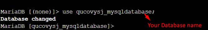 use database command in MySQL