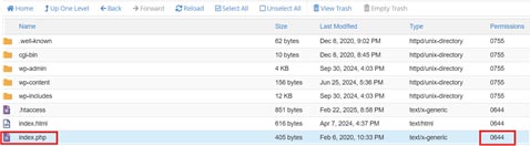 Check file and folder permissions