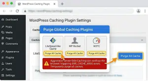 Purge All option within your plugin's dashboard.